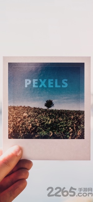 pexels视频素材app软件