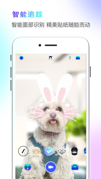 faceme脸酷最新版本