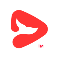 一起学网校app(改名为锦书在线)