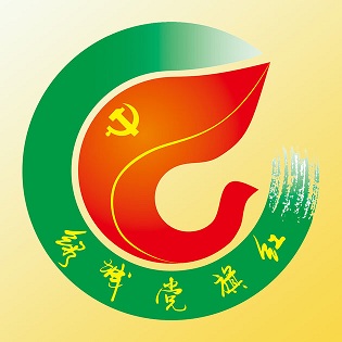 南宁市绿城党旗红