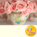 YOO主题-花の物语