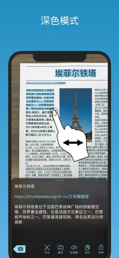 Prizmo Go › Text Grabber