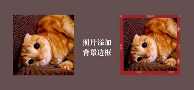 Vemoon - 照片编辑、照片组合