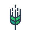 青稞 - 现代诗库