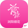浏阳烟花
