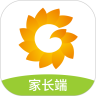 金色向日葵