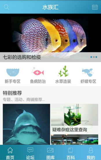水族汇