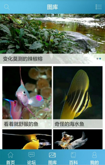 水族汇
