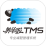 养羊啦TMS