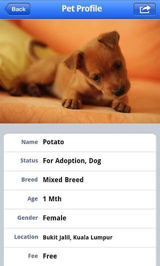 PetFinder