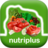 NutriPlus-NFT Builder