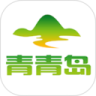 青青岛社区