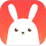 兔找找