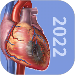 3D生理和病理学