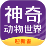 神奇动物世界
