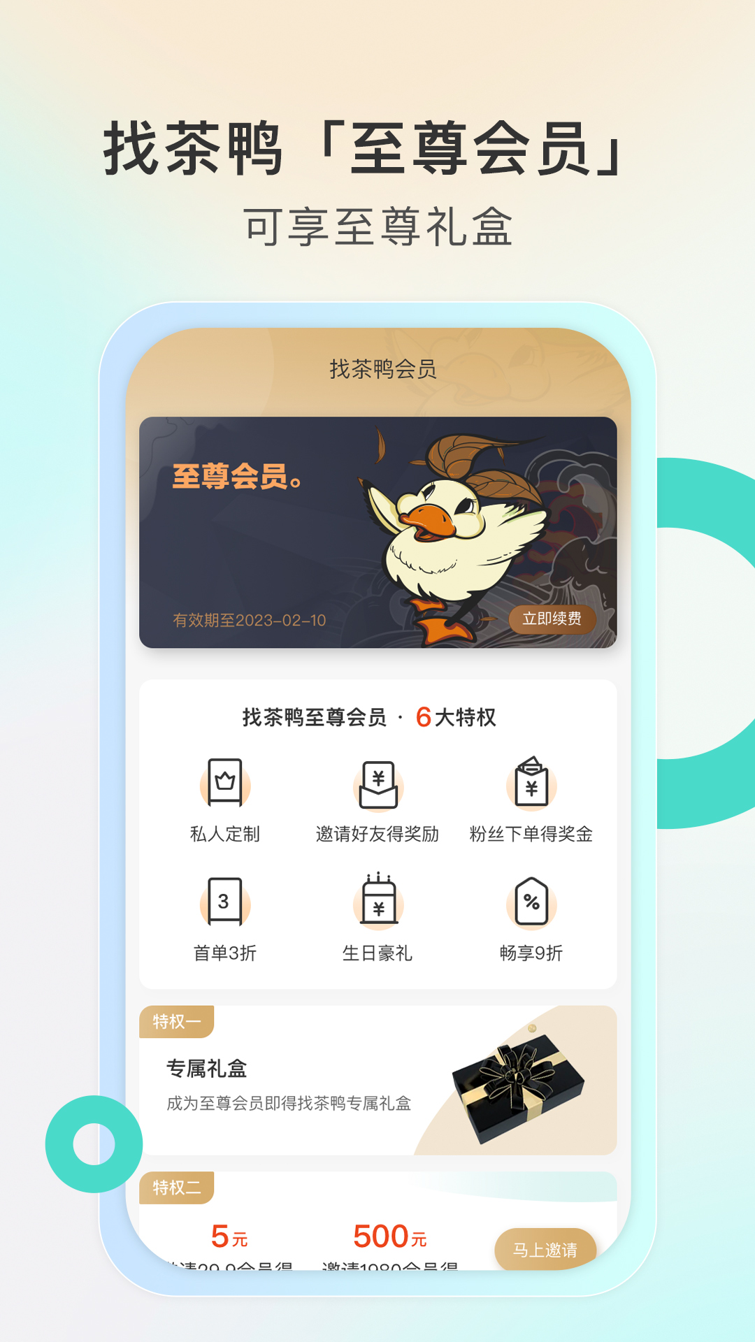 找茶鸭