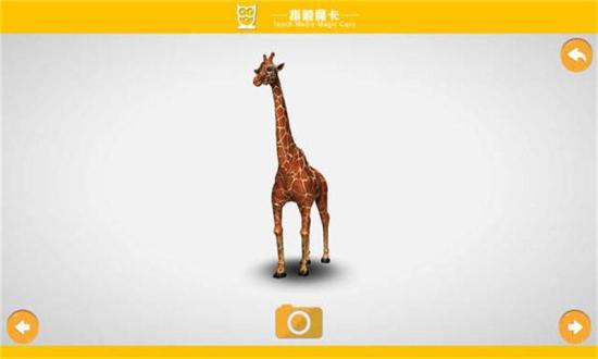 动物世界