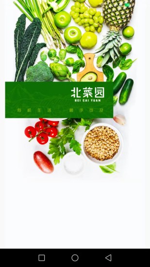 北菜园