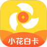 小花白卡