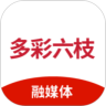 多彩六枝