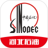 油惠通