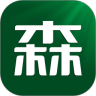 森林大宗