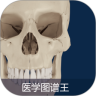 医学图谱王