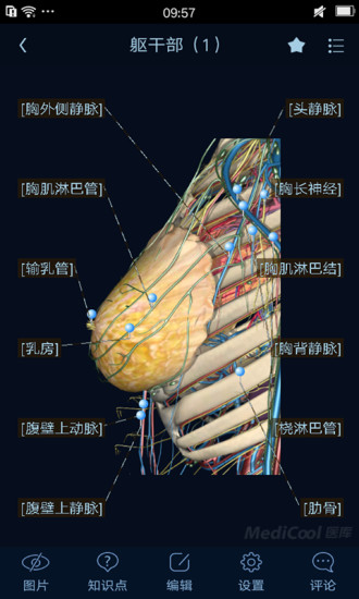医学图谱王