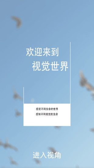 视角
