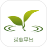 茶业平台