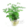 那些花儿养花助手