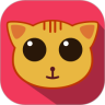 小猫阿四
