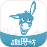 领队助手