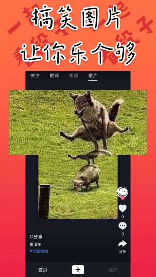 道友