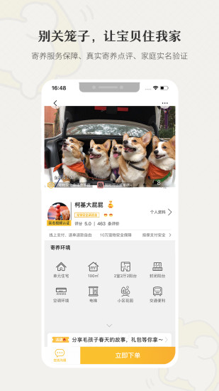 小狗在家宠物寄养