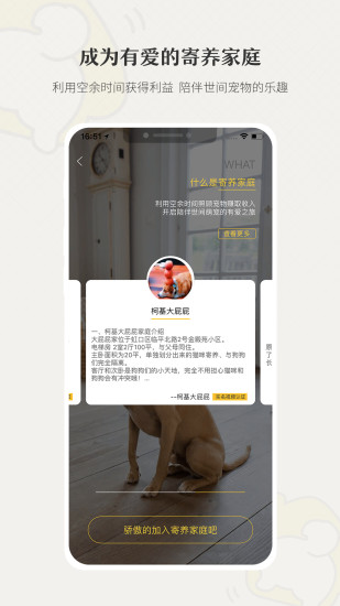 小狗在家宠物寄养