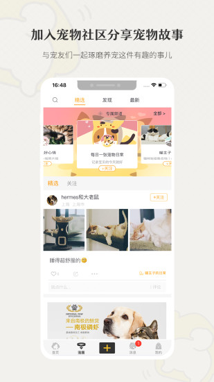 小狗在家宠物寄养