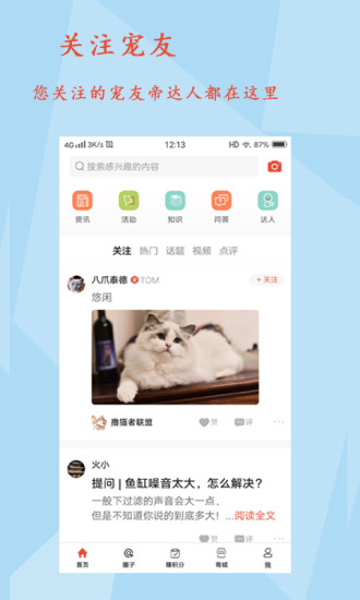 宠友帝