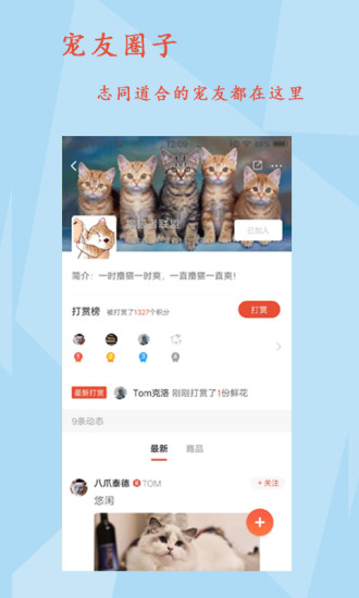 宠友帝