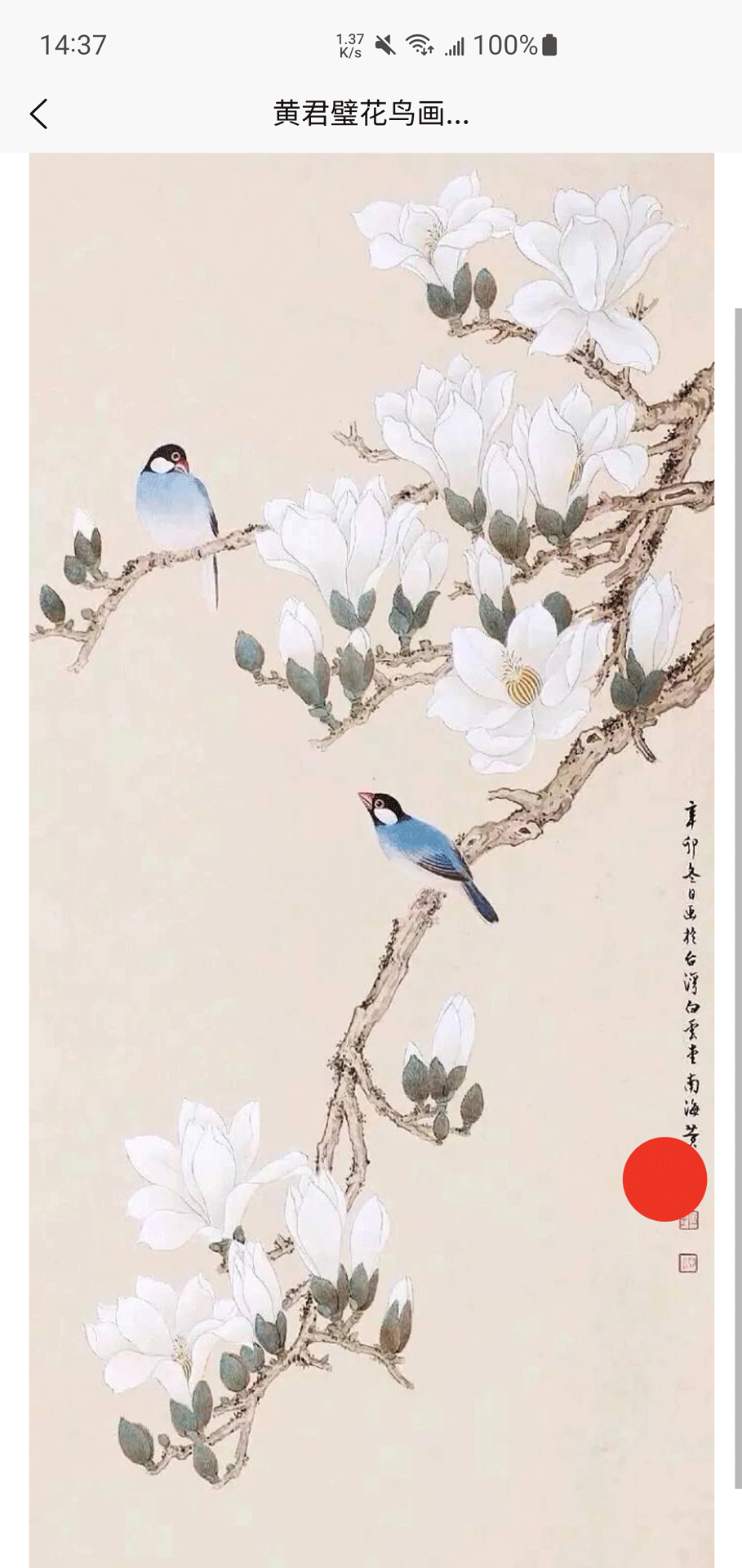 澳都汇