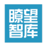 瞭望智库