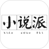 小说派