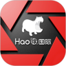 Hao球数据