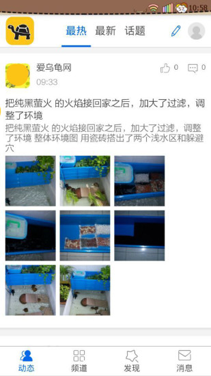 爱乌龟网