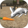 Real Rabbit Simulator