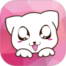 小脸猫