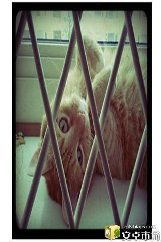 LOMO相机