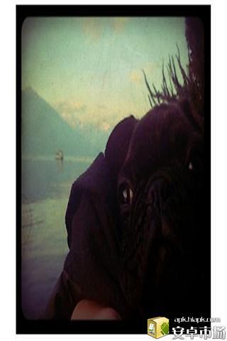 LOMO相机