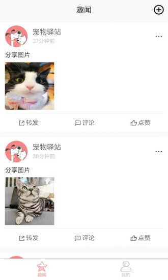 宠物驿站