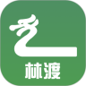 林渡